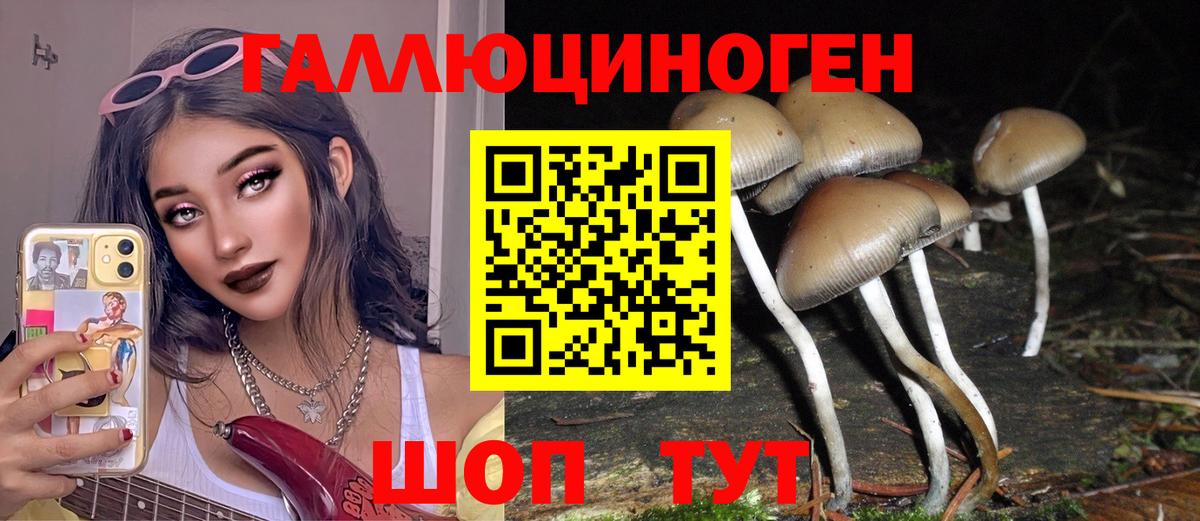 Псилоцибиновые грибы мицелий Волоколамск