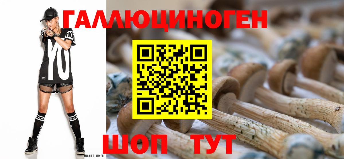 где можно купить наркотик  Вход с VPN  Галлюциногенные грибы Psilocybine cubensis  Волоколамск  Галлюциногенные грибы GOLDEN TEACHER 